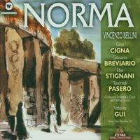 Norma: Non parti?
