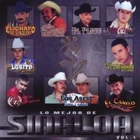 El Frijolito, Frijolito