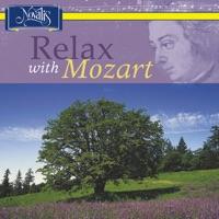 Piano Concerto No. 21 In C Major, K. 467: II. Andante