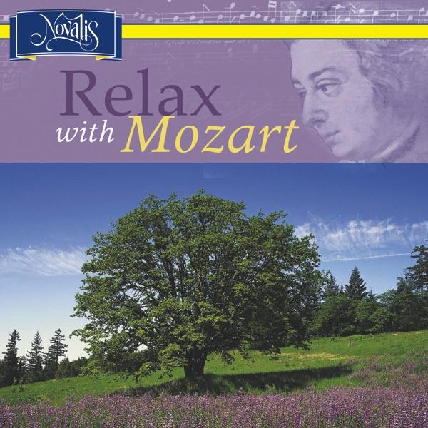 Piano Concerto No. 21 In C Major, K. 467: II. Andante