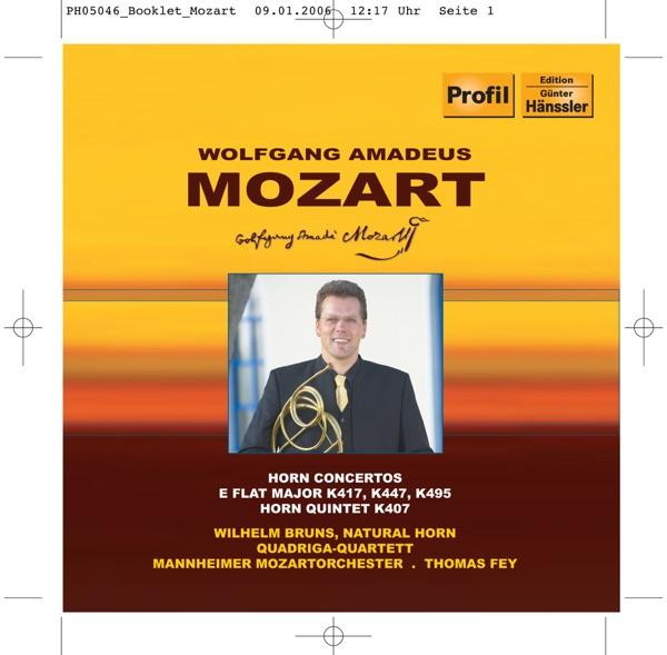 Horn Concerto No. 3 In e Flat Major, K. 447: II. Romance: Larghetto