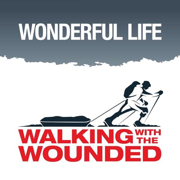 Wonderful Life