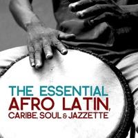 Essential Mambo