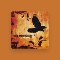 David Andrews Band