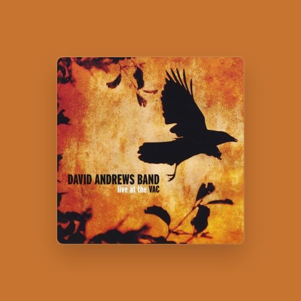 David Andrews Band