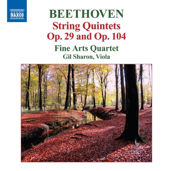 弦楽五重奏曲 ハ短調 Op. 104 (ピアノ三重奏曲 Op. 1 No. 3からの編曲): II. Andante cantabile con variazioni
