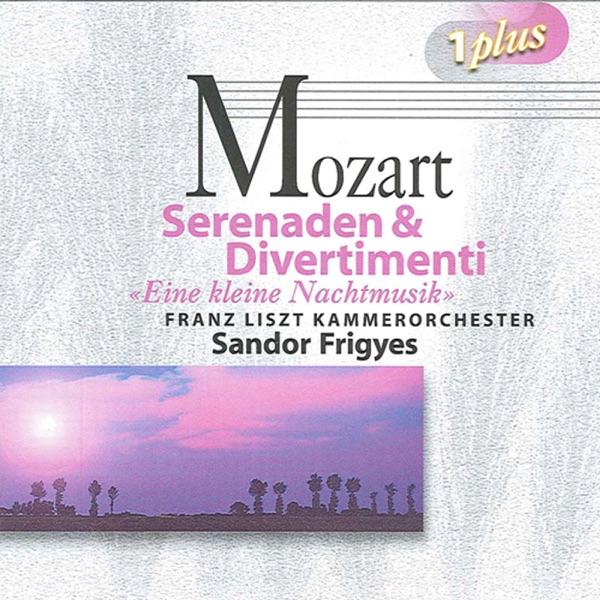 Serenade No. 13 in G major, K. 525, "Eine kleine Nachtmusik" : II. Romance