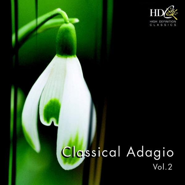 Piano Concerto No. 23 in A Major, K. 488: II. Andante