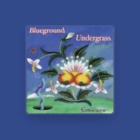 Blueground Undergrass