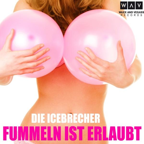 Fummeln ist erlaubt (Radio Edit)