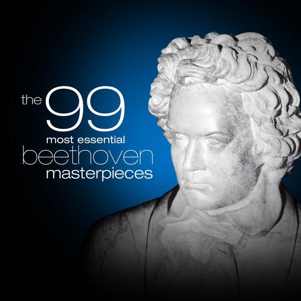 Symphony No. 9 In D Minor, Op. 125 "Choral": I. Allegro Ma Non Troppo, un Poco Maestoso