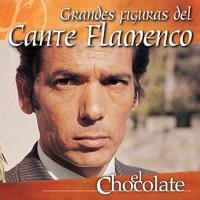 Cante de Levante (Javera)