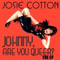 Johnny Are You Queer