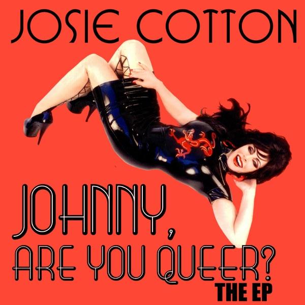 Johnny Are You Queer