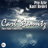 Flute Concerto in D major: II. Andante
