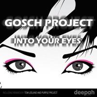 Into Your Eyes (Purple Project Remix)