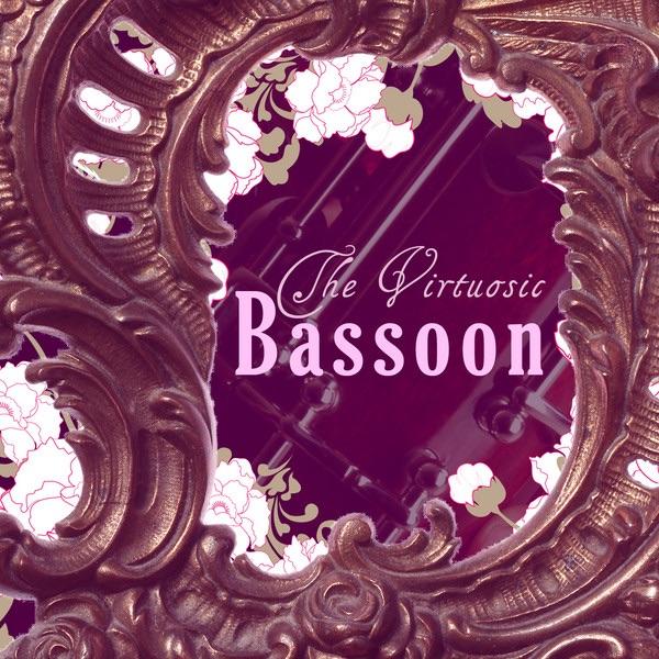 Concerto for Bassoon and Orchestra In A Minor, RV. 497: I. Allegro Molto