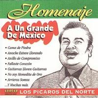 Nuestro Gran Amor
