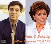 Golhaye #545
