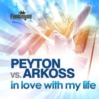 In Love With My Life (Junior Frank Remix Dub)