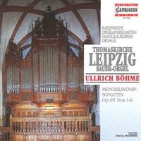 Organ Sonata in D minor, Op. 65, No. 6: III. Finale: Andante