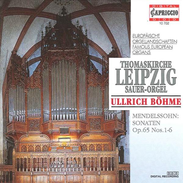 Organ Sonata in D minor, Op. 65, No. 6: III. Finale: Andante