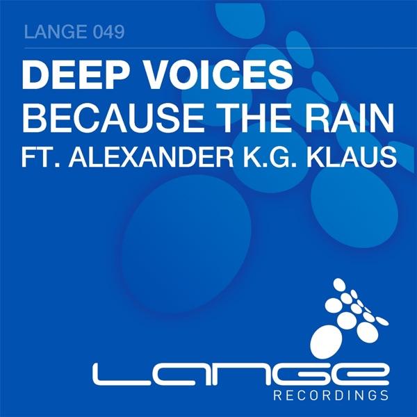 Because the Rain (Space RockerZ Remix) (feat. Alexander K.G Klaus)