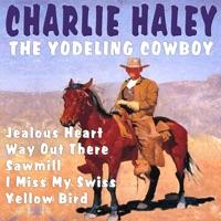 Yellow Bird