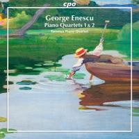 Piano Quartet No. 2 in D Minor, Op. 30: III. Con moto moderato