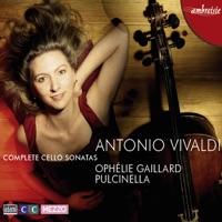 Sonate No. 5 in E Minor : II. Allegro