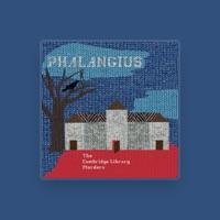 Phalangius