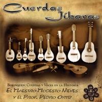 Guaracha Para el Camino