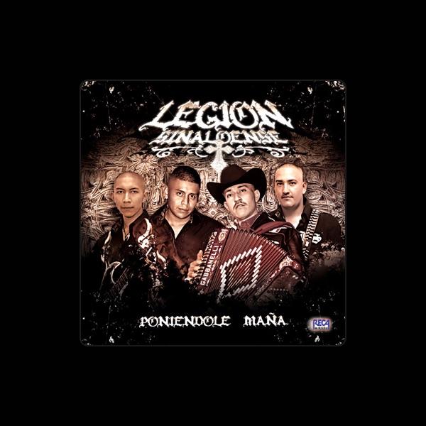 Legion Sinaloense