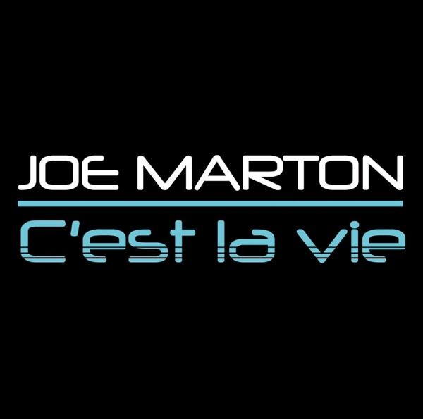 C'est la vie No. 3