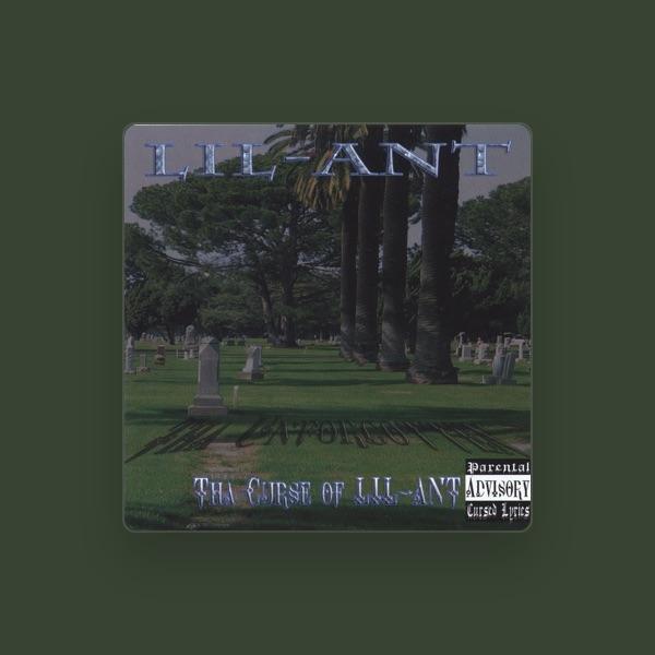 Lil-Ant