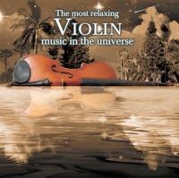 Violin Concerto In e Minor