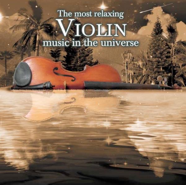 Violin Concerto In e Minor