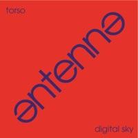 Digital Sky