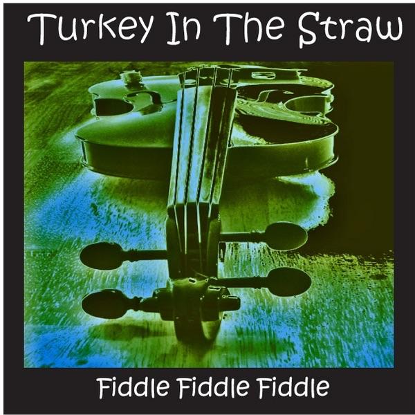 Turkey In the Straw