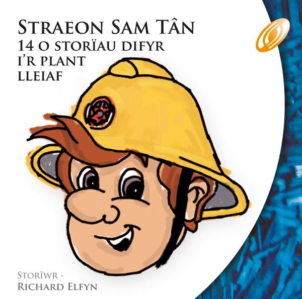 Mellt a Gwisg Ffansi - 3