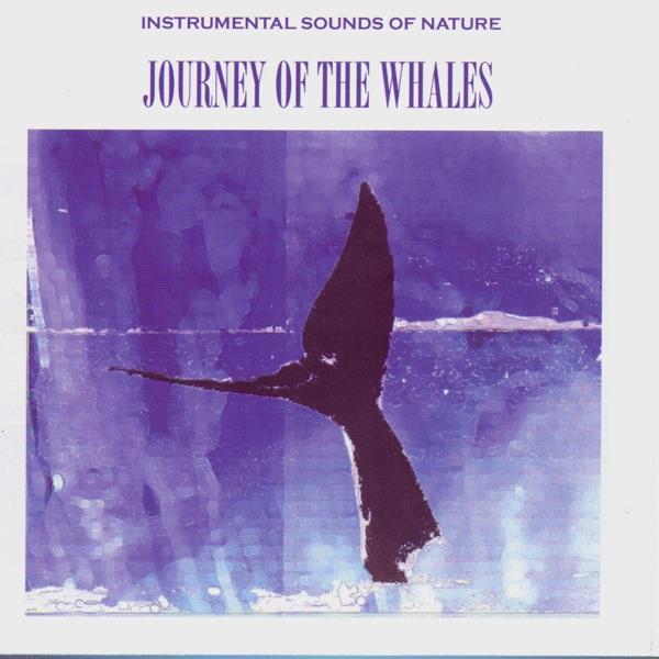 Journey of the Whales