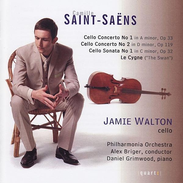 Concerto for Violoncello and Orchestra No. 2 in D Minor, Op. 119: II. Allegro Non Troppo - Cadenza - Tempo 1 - Molto Allegro