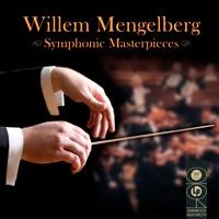Concerto in D minor for 2 violins & strings, BWV 1043: l Vivace