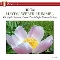 Trio in A Major for Flute, Cello and Piano, Op. 78: II. Thema: Allegretto - Variation I-VII