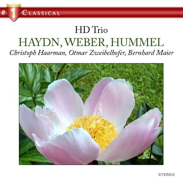 Trio in G Minor for Flute, Cello and Piano, Op. 63: IV. Scherzo - Finale: Allegro