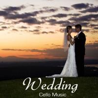Balin a Mone (Traditional Irish Ballad for Wedding Dance Party)