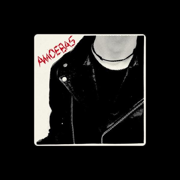 Amoebas