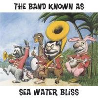 The Band Known As Sea Water Bliss (radio Version)
