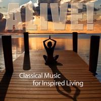 Quintet In a Major, Op. 114 "The Trout": 2. Andante
