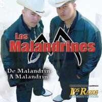 La Vída de un Malandrín